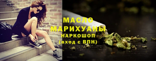 мдпв Бородино
