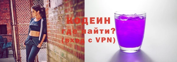 мдпв Бородино