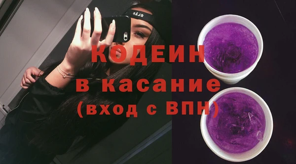 мдпв Бородино