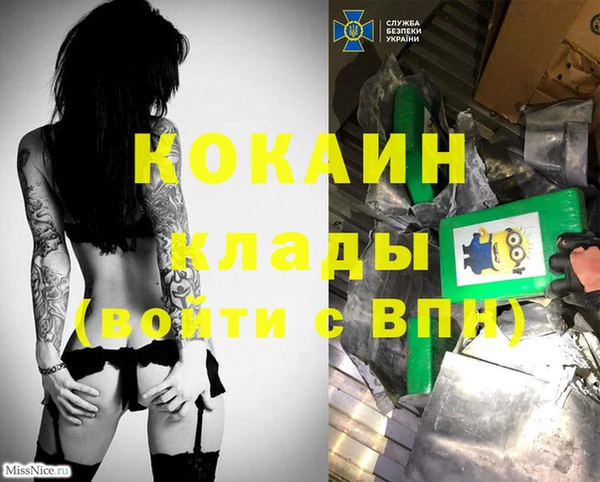 прущие крисы Мегион