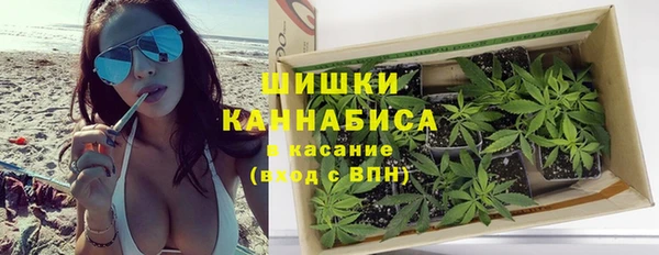 мдпв Бородино