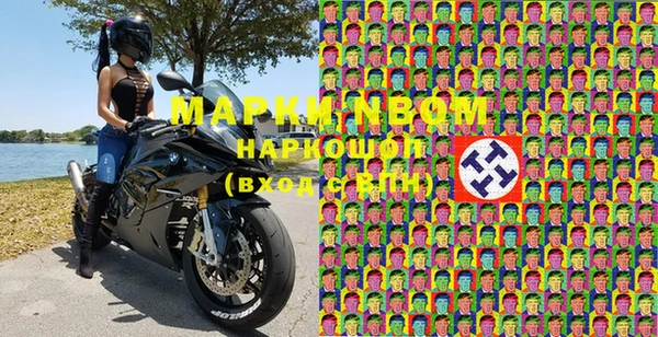 мдпв Бородино