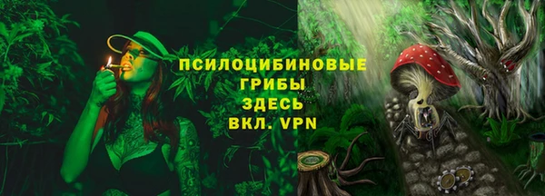 мдпв Бородино
