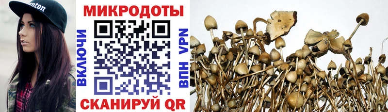 Псилоцибиновые грибы Magic Shrooms  ОМГ ОМГ онион  Рязань 